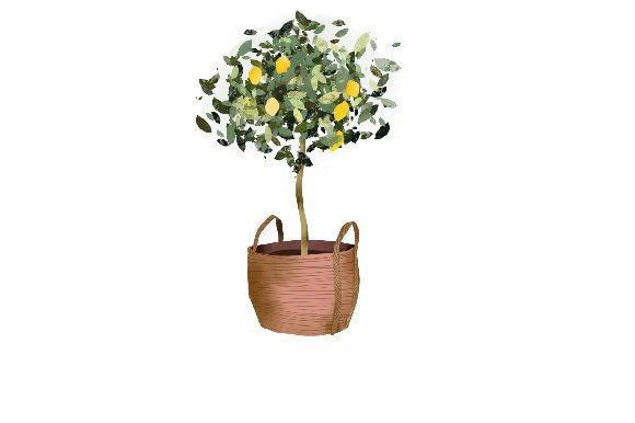 Download Potted Plant Watercolor - Potted plant watercolor Collection